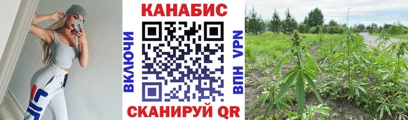 Марихуана конопля  Майский 